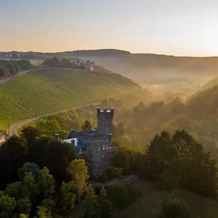 Saar Castle - Cozy Mansion Near Vineyard Hébergement de vacances *