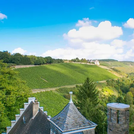 Saar Castle - Cozy Mansion Near Vineyard Hébergement de vacances