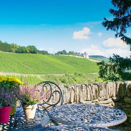 Saar Castle - Cozy Mansion Near Vineyard Serrig