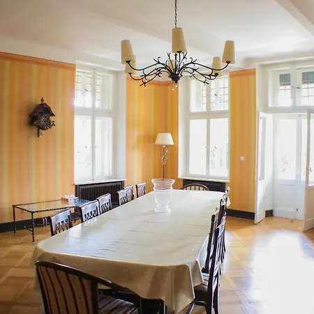 Saar Castle - Cozy Mansion Near Vineyard Hébergement de vacances Serrig