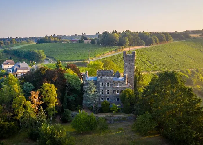 Saar Castle - Cozy Mansion Near Vineyard