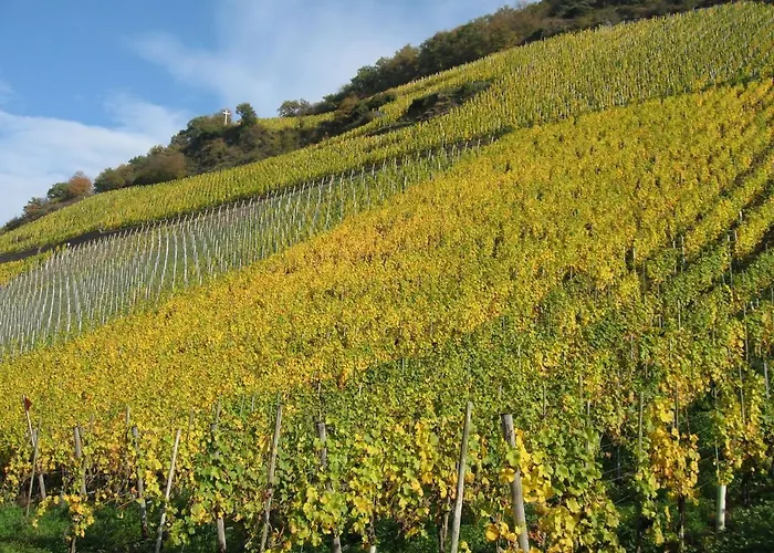 Saar Castle - Cozy Mansion Near Vineyard Σπίτι διακοπών