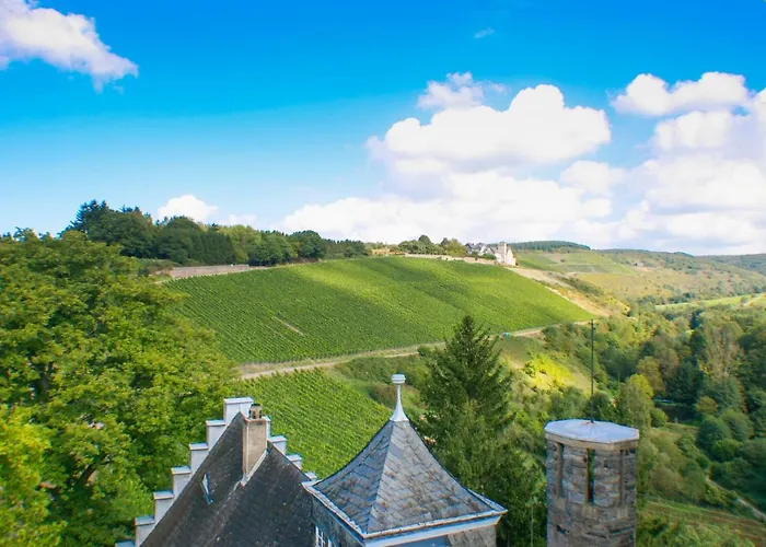 Saar Castle - Cozy Mansion Near Vineyard Σπίτι διακοπών