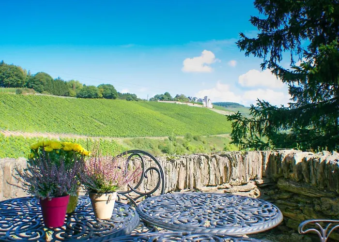 Saar Castle - Cozy Mansion Near Vineyard Serrig