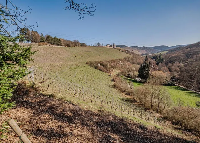 Σπίτι διακοπών Saar Castle - Cozy Mansion Near Vineyard Serrig